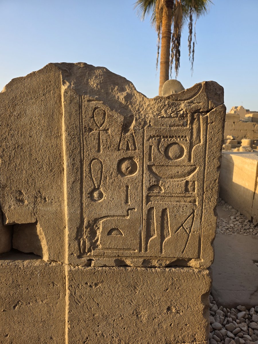 Foto 20260215_070653.jpg