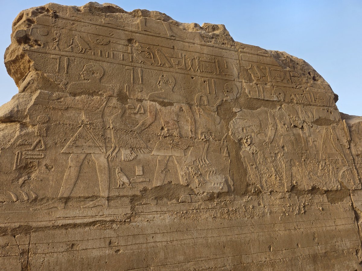 Foto 20260215_071558.jpg