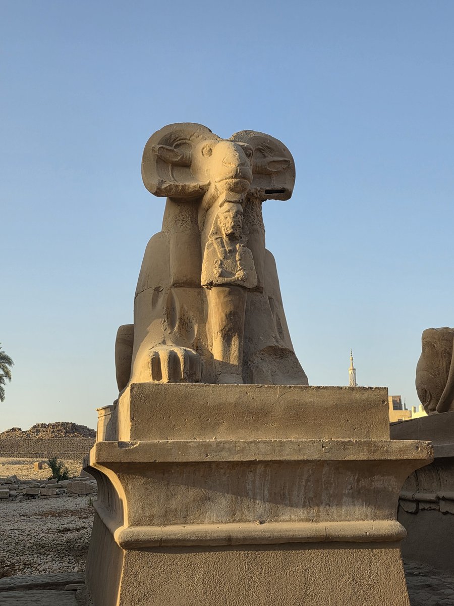 Foto 20260215_072854.jpg