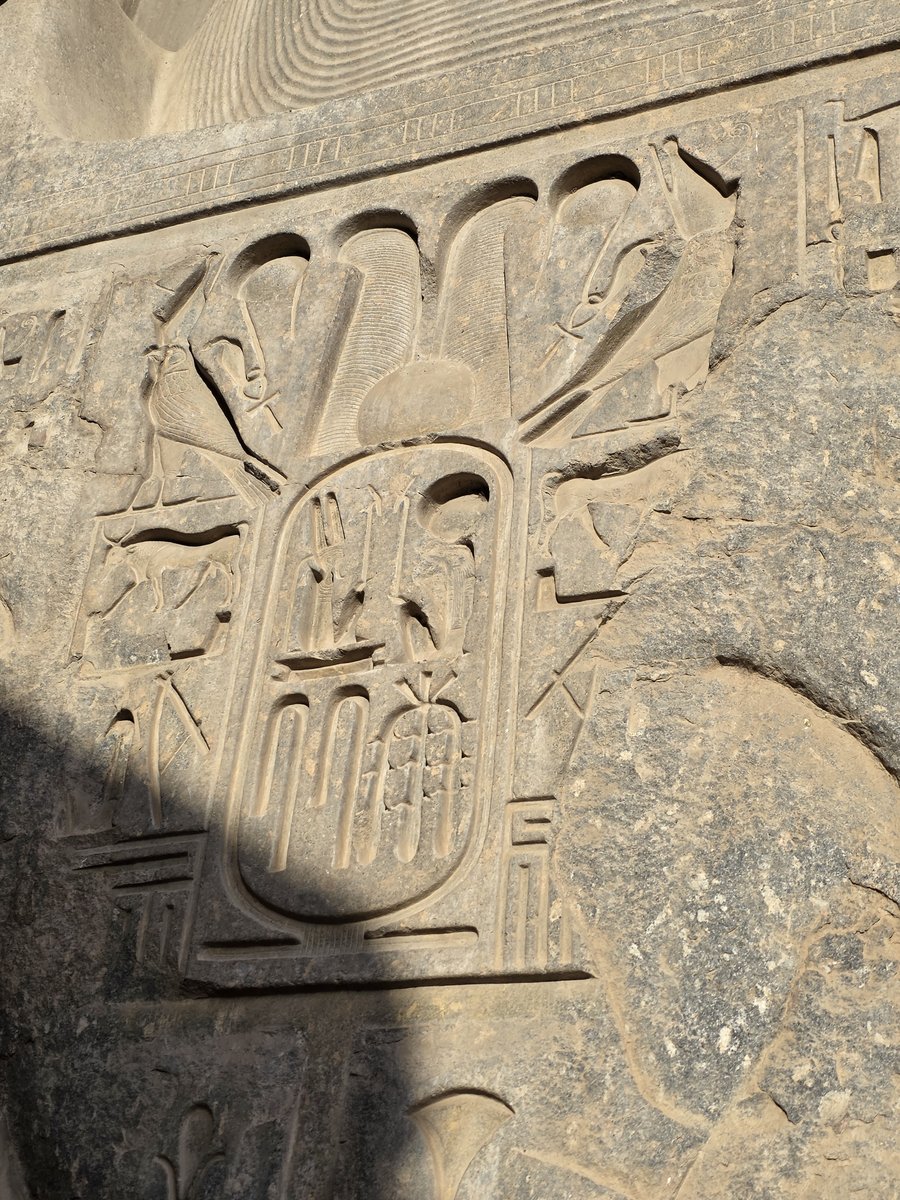 Foto 20260215_080145.jpg