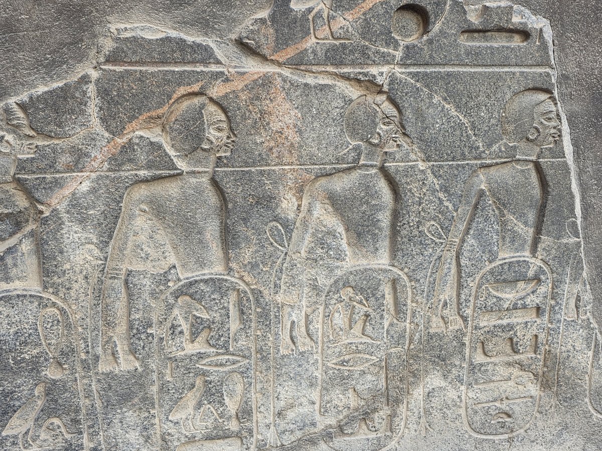 Foto 20260215_080946.jpg