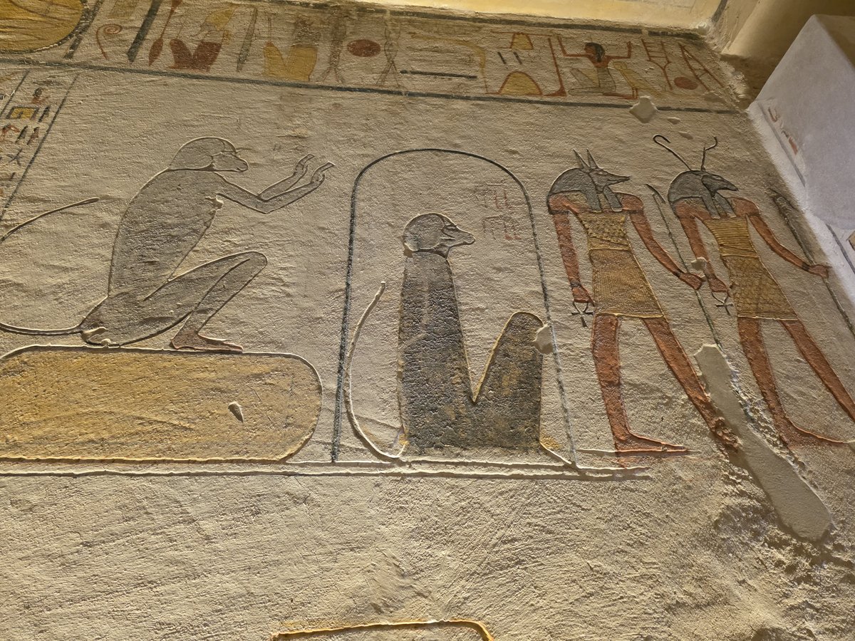 Foto 20260215_103013.jpg