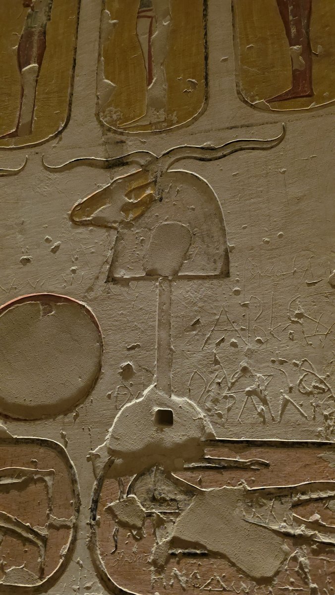 Foto 20260215_104926.jpg